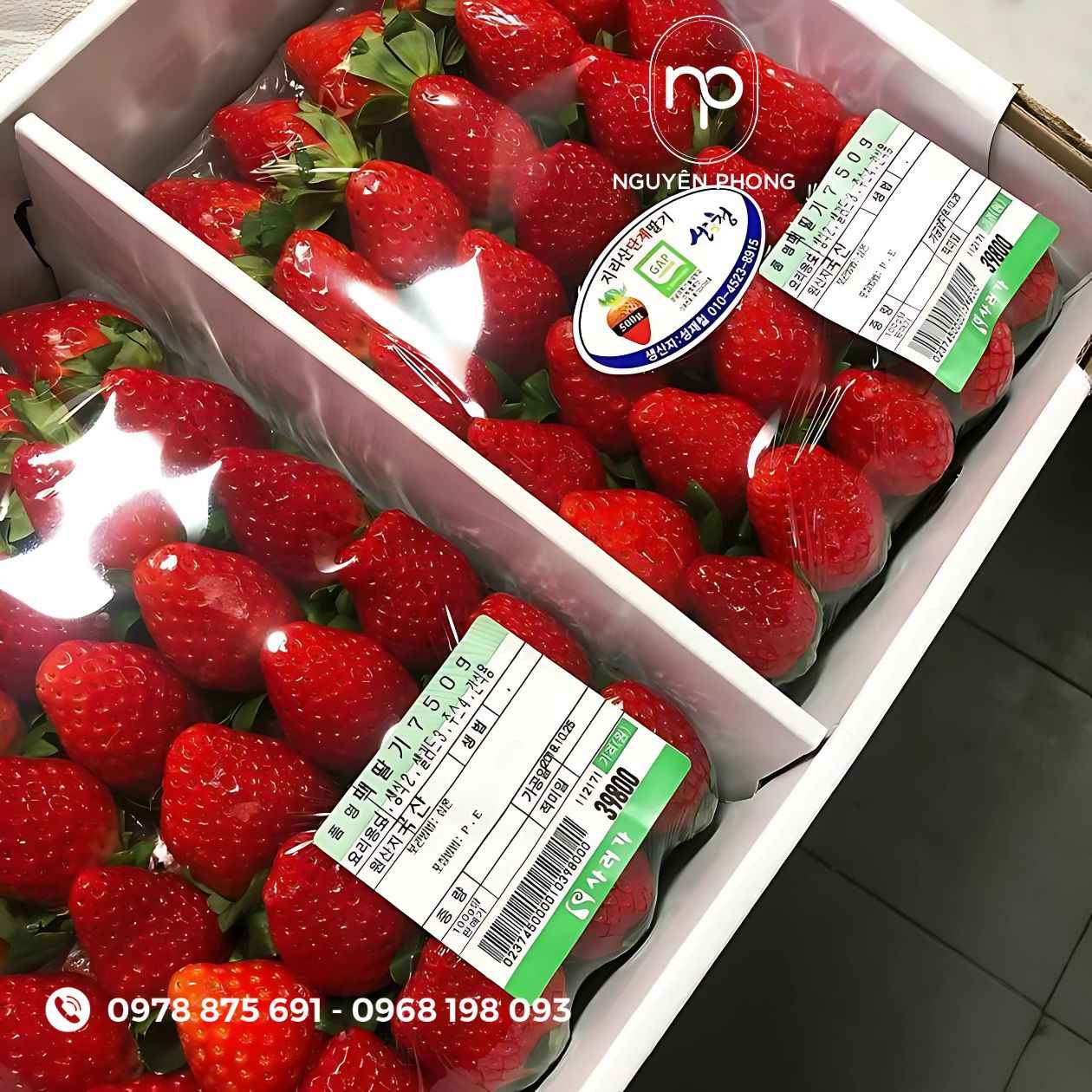 Mẫu tem dán dâu tây 

